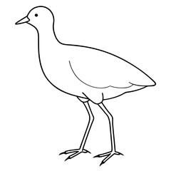 Bird Vector Illustration