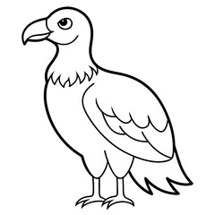 Bird Vector Illustration