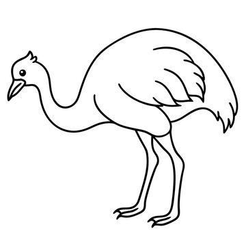 recommend clip art: Emu down his head Vector Illustrations
                    
                    
                    
                    
                    