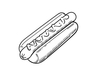 Hand drawn hot dog sketch with sausage and sauce vector illustration isolated on white background