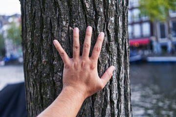 A man's hand touching a tree trunk by a calm river in an urban setting, depicting a connection with nature.