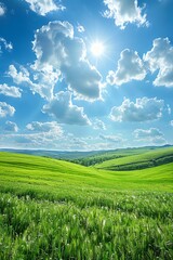 Obraz premium Vast green field under a bright blue sky with fluffy white clouds, wide shot, midday sunlight