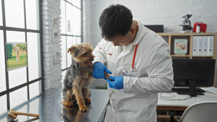 A young chinese male veterinarian examines a small dog in a veterinary clinic, focusing on providing pet care in a well-equipped indoor setting.
