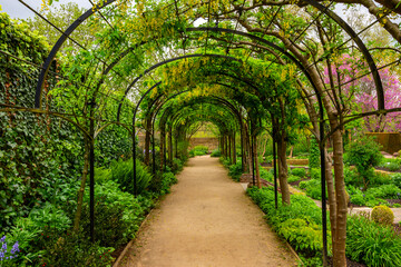 Live arch in Kew botanical gardens, London, UK