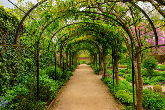 Live arch in Kew botanical gardens, London, UK