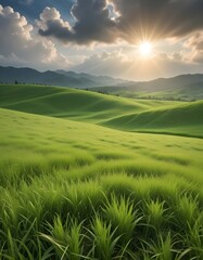 Obraz premium Natural landscape of grass field behind sunshine and clouds