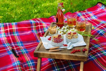 Picnic with chia pudding with granola and red currants in glass jars and iced tea in a bottle on a wooden table on a red checkered blanket in the garden.