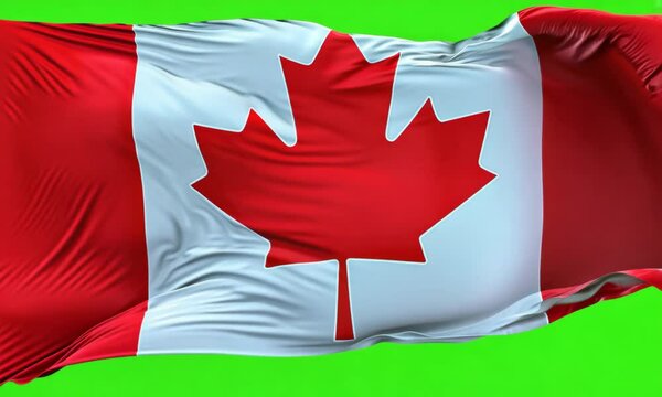 Canadian flag on green chroma key background