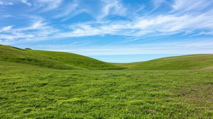 Fototapeta premium Rolling Green Hills Under a Blue Sky