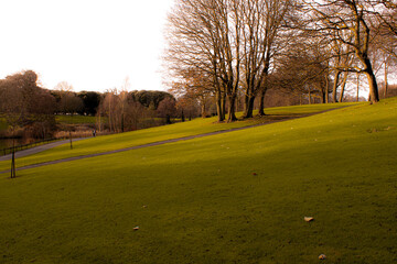 Irish Green Park