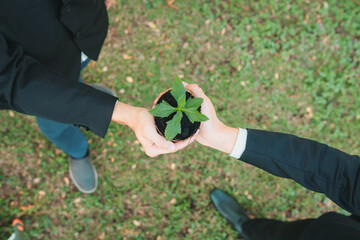 Top view business people holding plant as concept of eco company committed to corporate social...