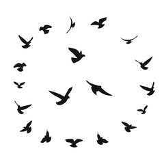 Silhouette sketch of a flock of flying birds, flight in different positions. Takeoff, flying, flight, flutter, hover, soaring, landing