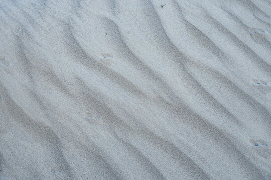 Detailed close-up of natural sand textures on a beach
