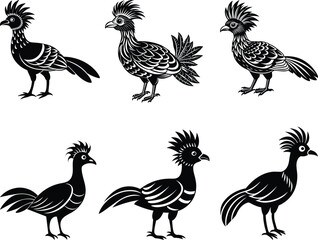 Capercaillie birds on nature vector illustration