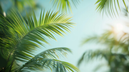 Fototapeta premium Close-up of green palm leaves against a clear blue sky with sunlight, featuring a tropical background.