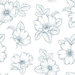 Seamless floral pattern with Rose. Botanical rosehip