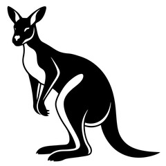 kangaroo illustration