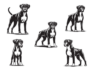 Vector Styled Boxer Dog Silhouette Set, Black and White Boxer Dog Vector Illustration, Boxer Dog Silhouette Set in sitting running and running pose