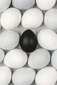 One black egg among many white eggs in a pattern. Generative AI image