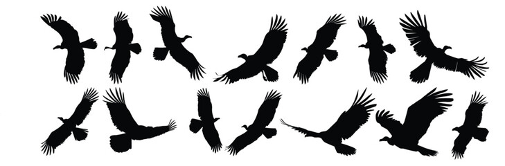 Vulture silhouette set vector design big pack of illustration and icon