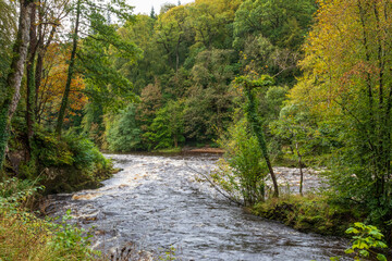 Naklejka premium Europe, United Kingdom, England, Yorkshire, Skipton. Walks offer glimpse of local scenery. The River Wharfe.