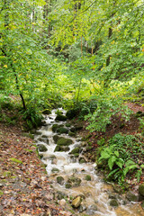 Europe, United Kingdom, England, Yorkshire, Skipton. Walks offer glimpse of local scenery.