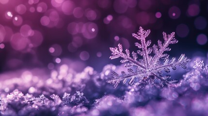 Fototapeta premium Macro image of a beautiful snowflake on a bokeh dark purple background with copy space. Winter background