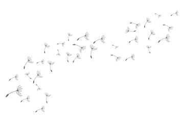 Obraz premium Dandelion Logo, Vector Plant Dandelion flower, Design Icon Template