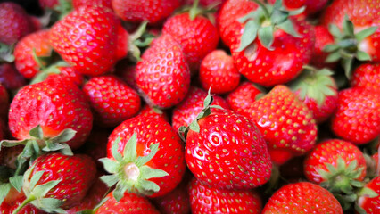 Harvest Of Ripe Red Strawberries, Close up, Strawberry Rotation. Isolated Fresh Strawberries. Vegetarian Food. Abstract Strawberry Background. Berries, Fruits.