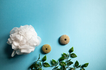  white loofah sits on a blue background with a green leafy plant. The scene is serene and calming,...