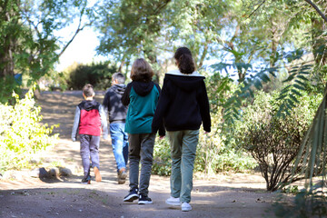 
Family walking in the park. Family walk outdoors. Outdoor living.