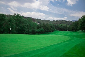 Golf un paseo por lo verde