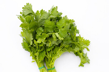 Fresh organic coriander, vegetables and herbs