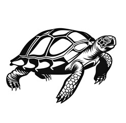 Fototapeta premium turtle on a white, style of a coloring book, black and white on a solid background
