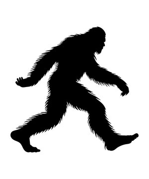 black bigfoot silhouette walking