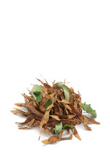 Obraz premium A pile of dry organic Indian Rosewood (Dalbergia sissoo) or Sheesham leaves. Isolated on a white background.