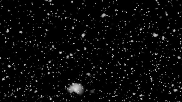 Realistic snow falling on black background. Flakes to down, Christmas animation with alpha channel