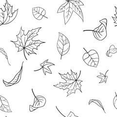 Seamless pattern of falling autumn leaves. Black outlines of leaves hand drawn doodles on a white background. Vector illustration for textile print, wrapping paper, wallpaper