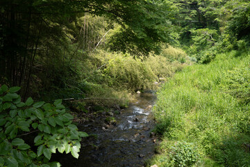 山奥の渓流