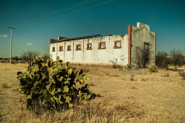 Bodega de Ojuelos