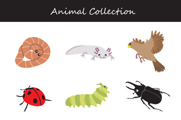 Animals collection. Flat style vector illustration.