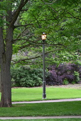 lantern in the park and landscape