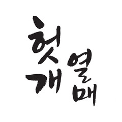 헛개열매. the fruit of the oriental raisin. Calligraphy in Korean. Korean food ingredient writing. 