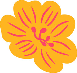 Beautiful Quirky Marigold Flower