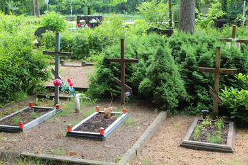 Three Russian Orthodox Christian crosses among green plants in the cemetery at Ogre, Latvia