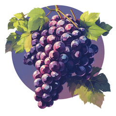 Fototapeta premium bunch of grapes