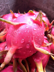 Acercamiento de fruta madura del dragón o pitahaya con gotas de agua 