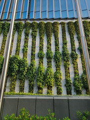A close-up of a green building with plants growing on the facade. Ecology and green living in the city