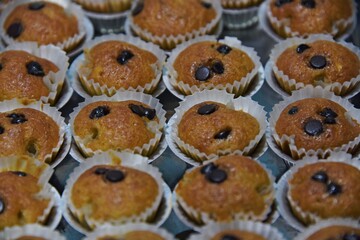 mini banana cupcakes are brown color baking in the oven