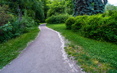 A road in a park among green trees.